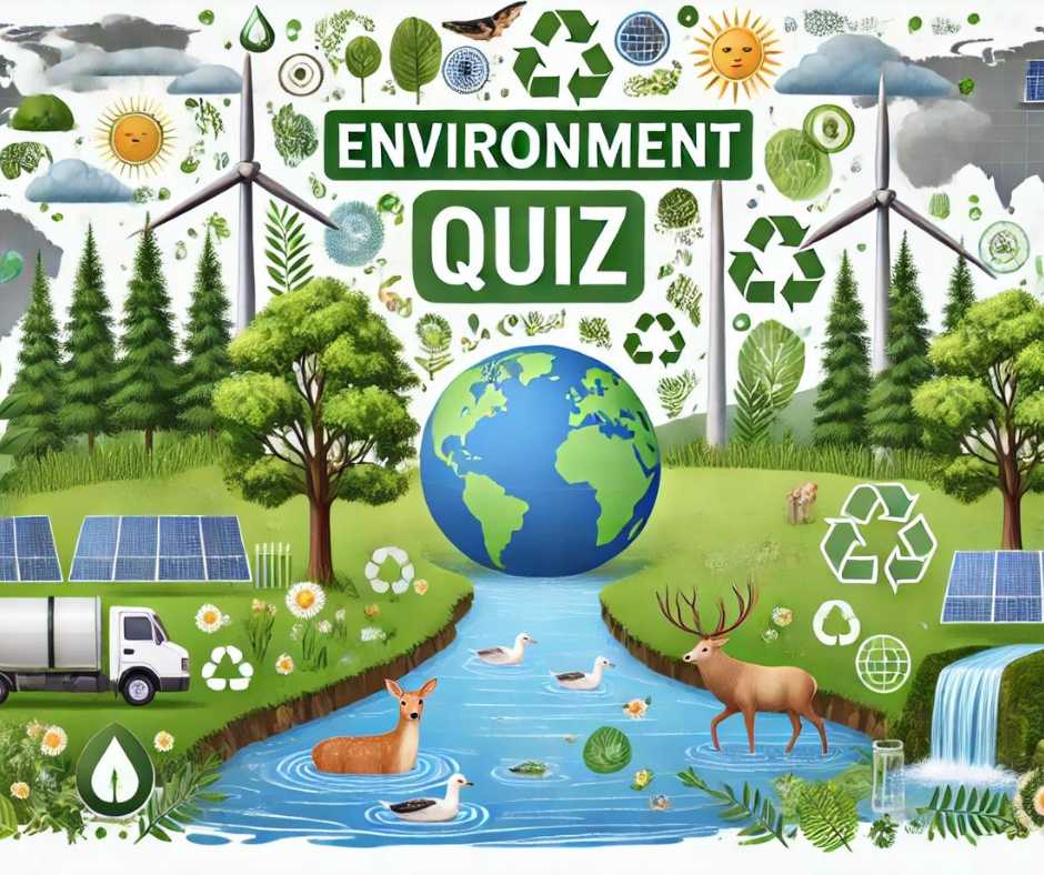 Bing Environment Quiz