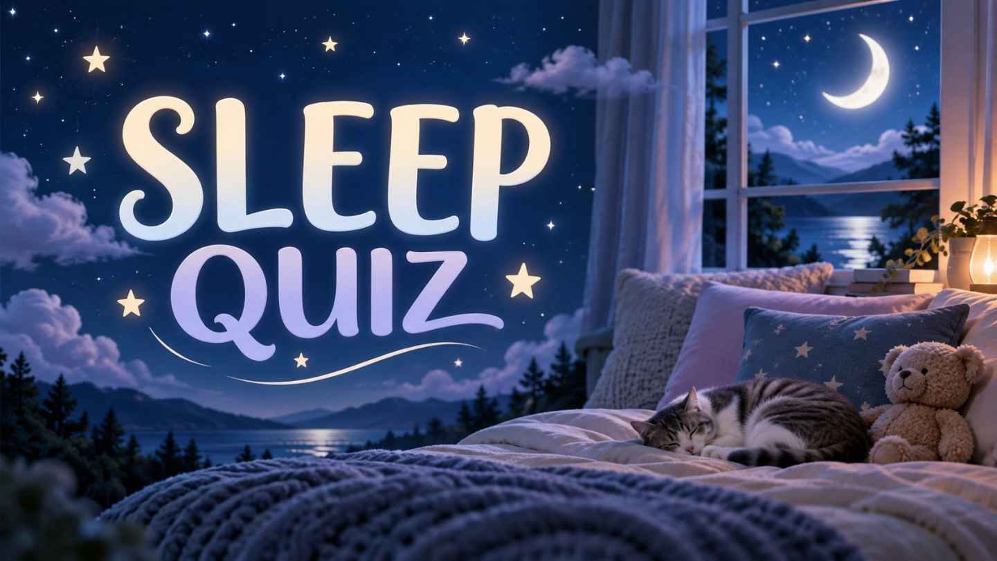 Bing Sleep Quiz – test your knowledge of sleep, dreams and body clocks